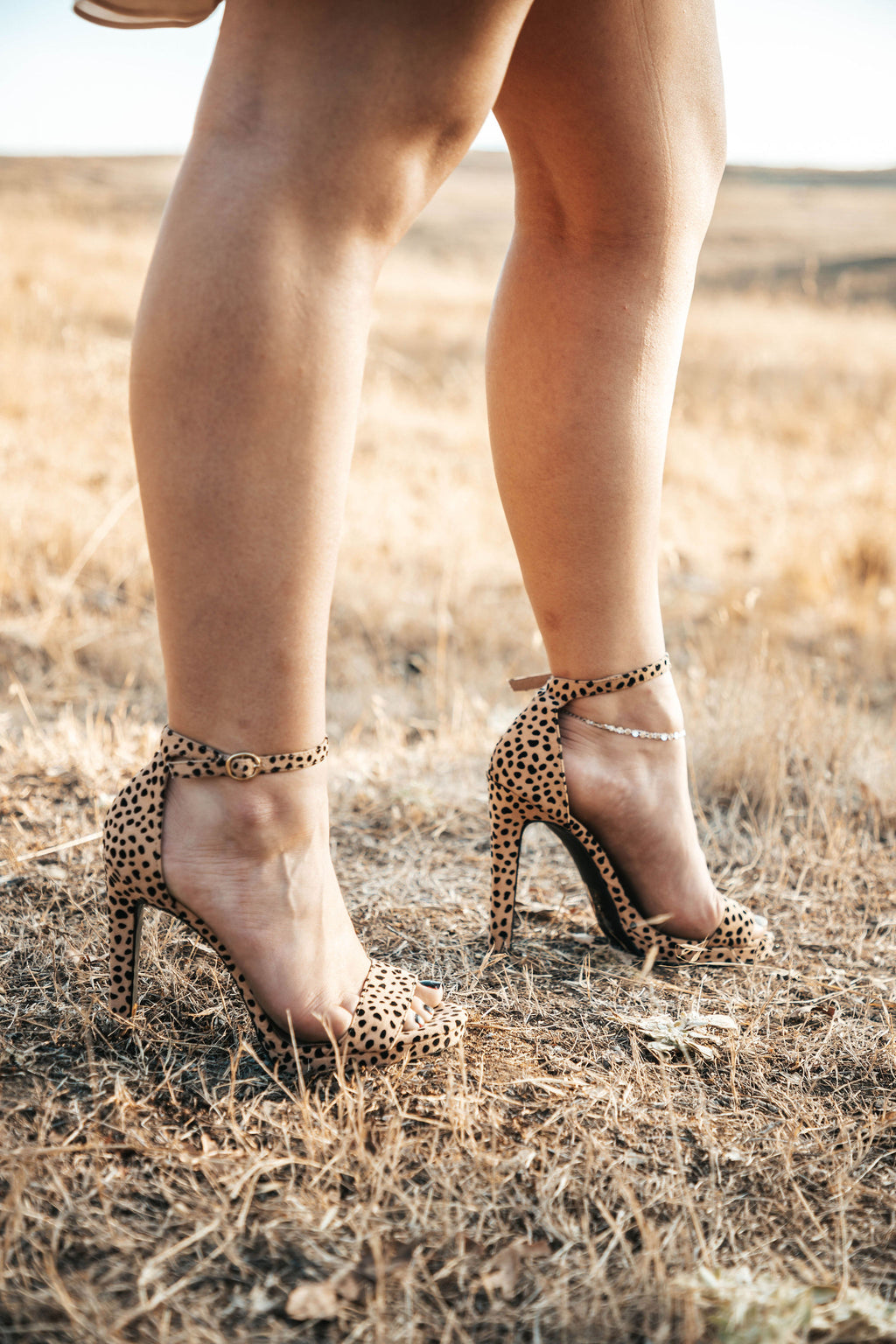Hayden Heel
