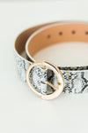 Tashia Snakeskin Belt