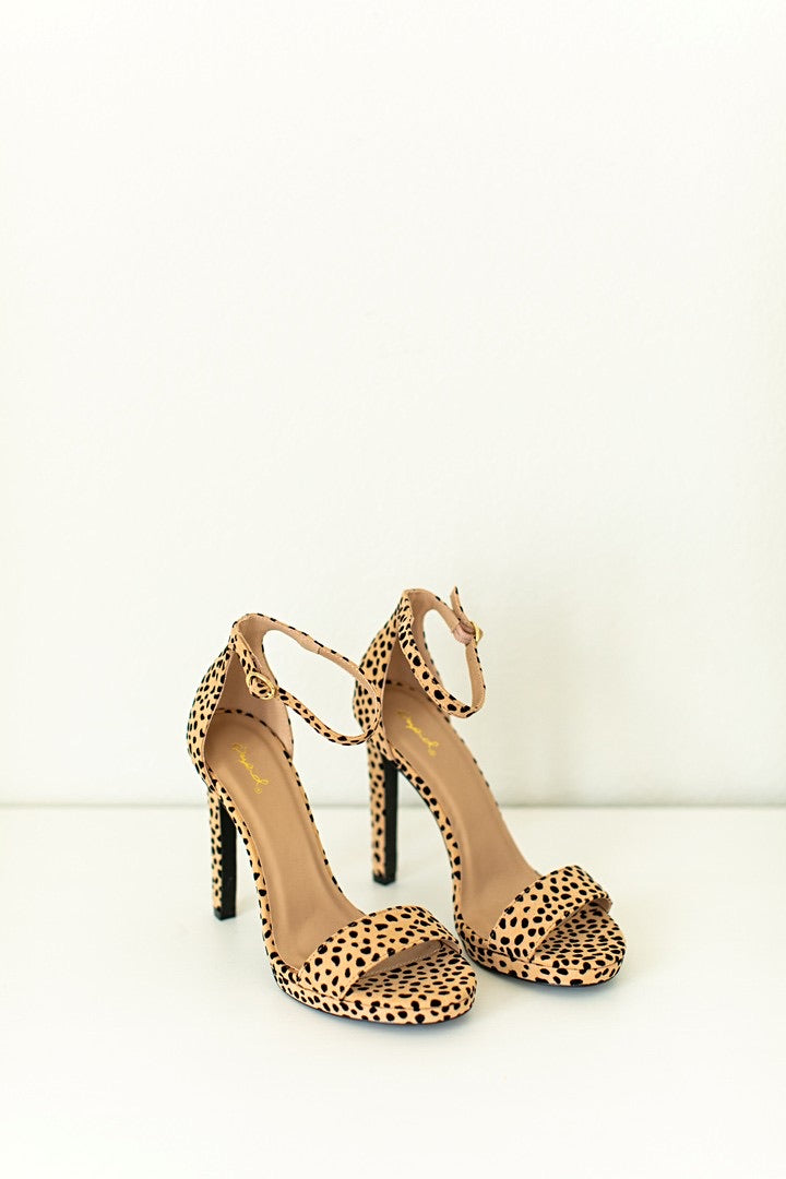 Hayden Heel